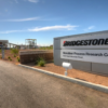 Bridgestone innovates with… Guayule desert shrubs for new rubber tyres?