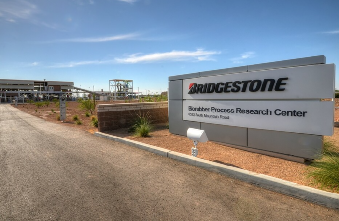 Bridgestone innovates with… Guayule desert shrubs for new rubber tyres?